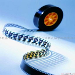 专业展会视觉营销全方案 从宣传片拍摄到影视节目制作一站式服务